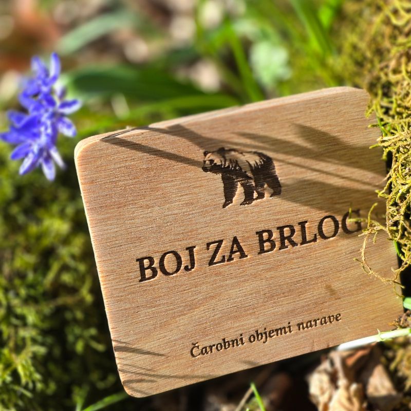 druzabna igra
